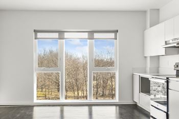 Large picture windows